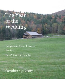 The Year of the Wedding book cover