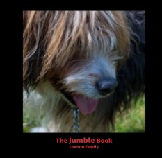The Jumble Book book cover