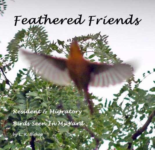 View Feathered Friends by L K Bishop