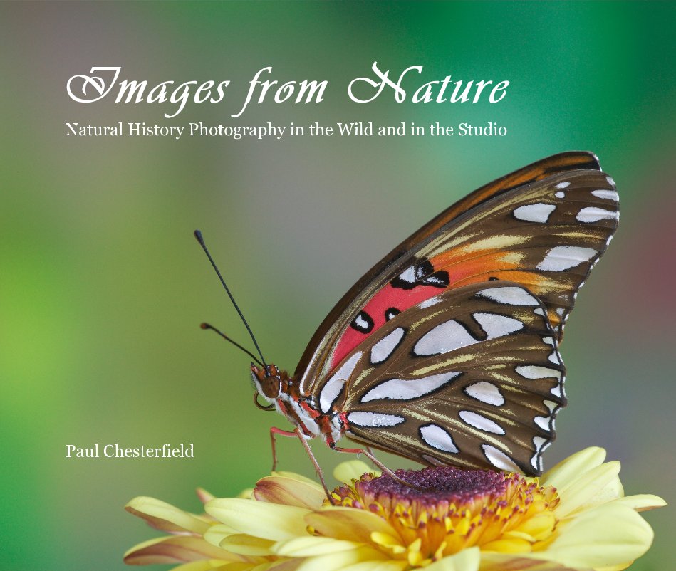 View Images from Nature by Paul Chesterfield