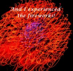 And I experienced the fireworks! book cover