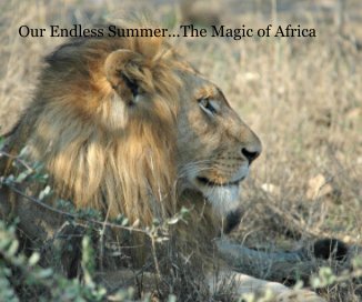 Our Endless Summer- The Magic of Africa book cover