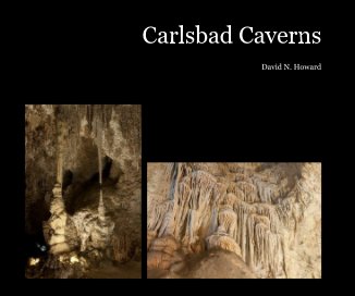 Carlsbad Caverns book cover