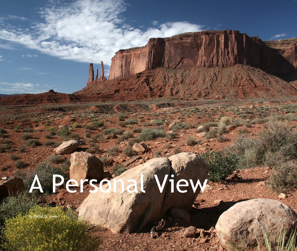 View A Personal View by David G. Irwin
