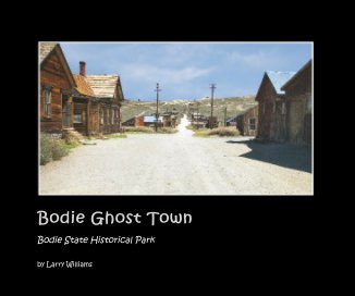 Bodie Ghost Town book cover