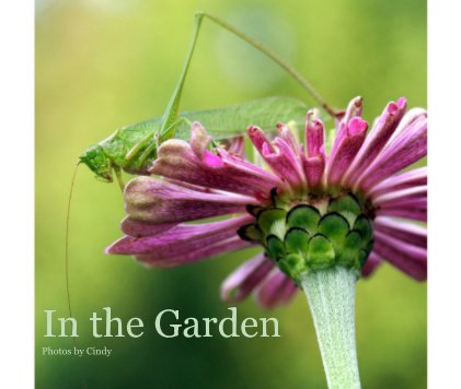In the Garden book cover