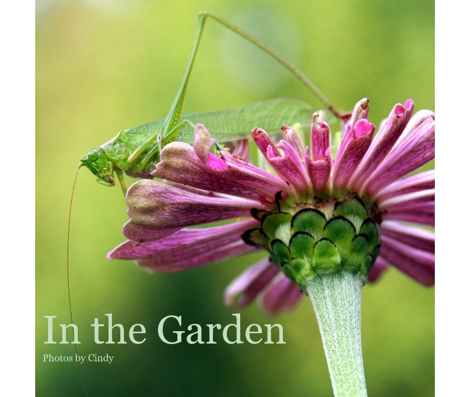View In the Garden by Cindy Roberts
