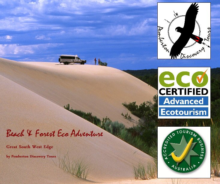 View Beach & Forest Eco Adventure by Pemberton Discovery Tours