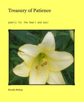 Treasury of Patience book cover