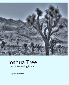 Joshua Tree
    An Interesting Place book cover