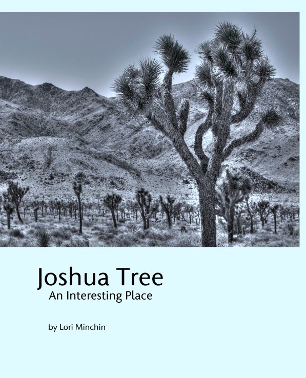View Joshua Tree
    An Interesting Place by Lori Minchin