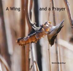 A Wing and a Prayer book cover