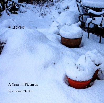 2010 book cover