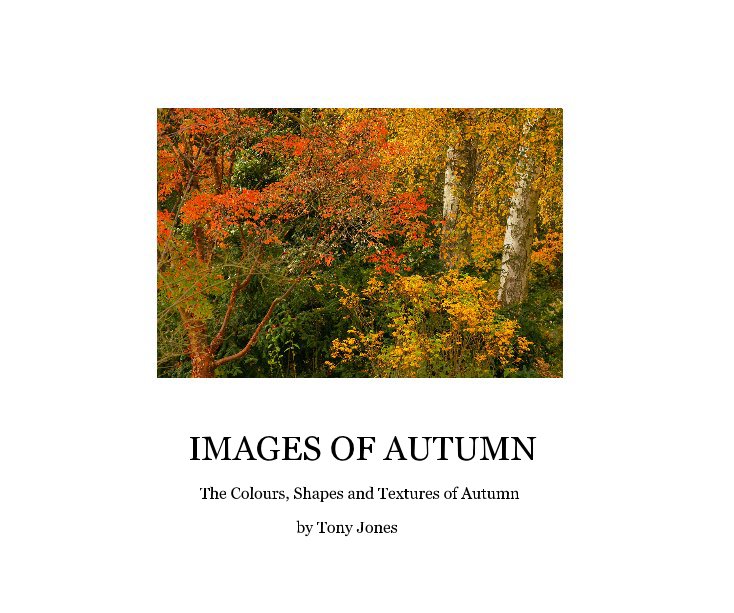 View IMAGES OF AUTUMN by Tony Jones