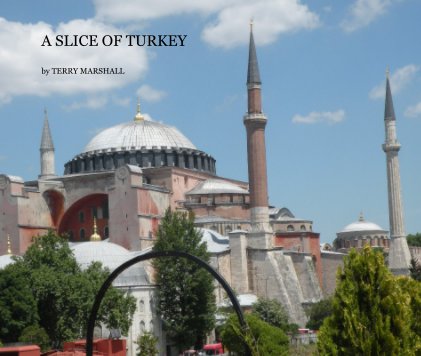 A SLICE OF TURKEY by TERRY MARSHALL book cover