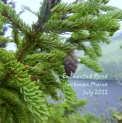 Enchanted Pond
Jackman Maine
July 2012 book cover
