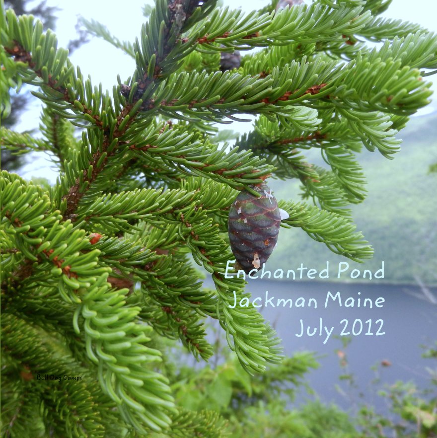 View Enchanted Pond
Jackman Maine
July 2012 by Bull Dog Camps