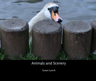 Animals and Scenery book cover