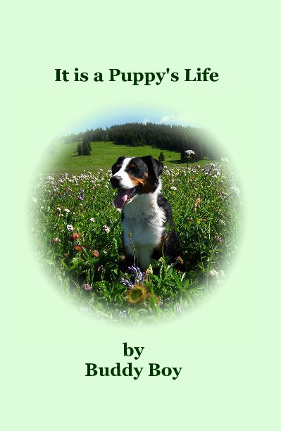 View It is a Puppy's Life by Buddy Boy