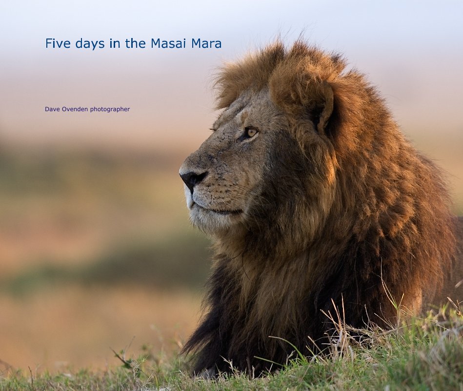 Ver Five days in the Masai Mara por Dave Ovenden photographer