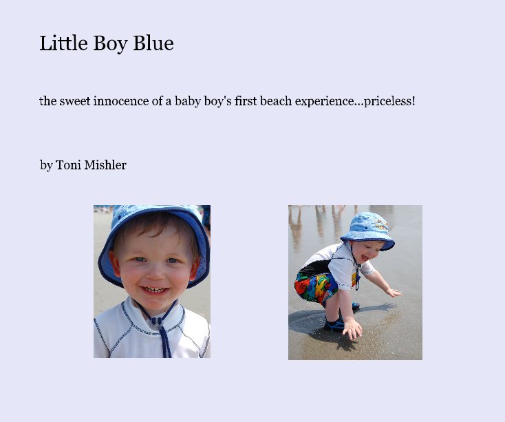View Little Boy Blue by Toni Mishler