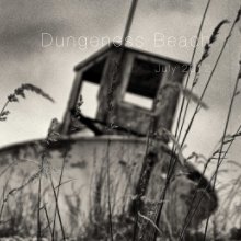 Dungeness Beach book cover