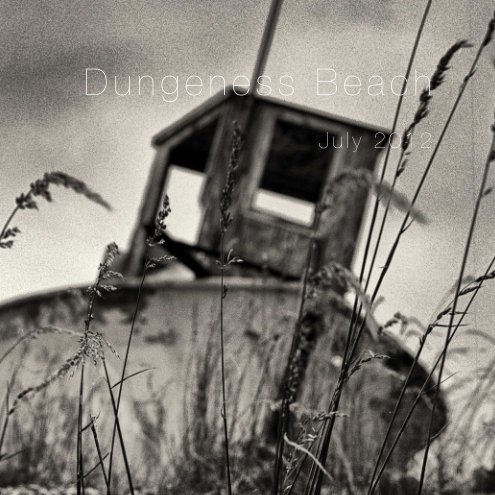 View Dungeness Beach by Martin Zalesny