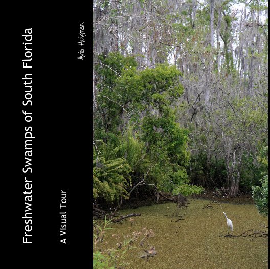 View Freshwater Swamps of South Florida by Avia Huisman