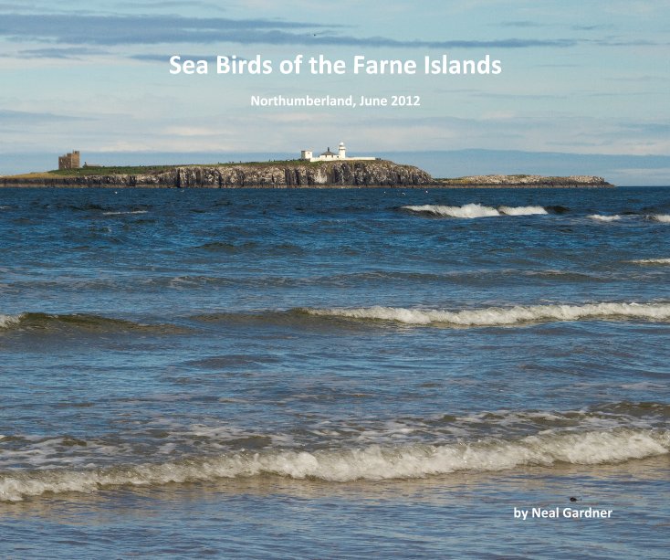 Ver Sea Birds of the Farne Islands por Neal Gardner