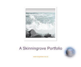 Skinningrove Portfolio book cover