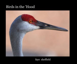 Birds in the 'Hood book cover