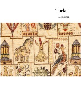 Türkei März, 2011 book cover