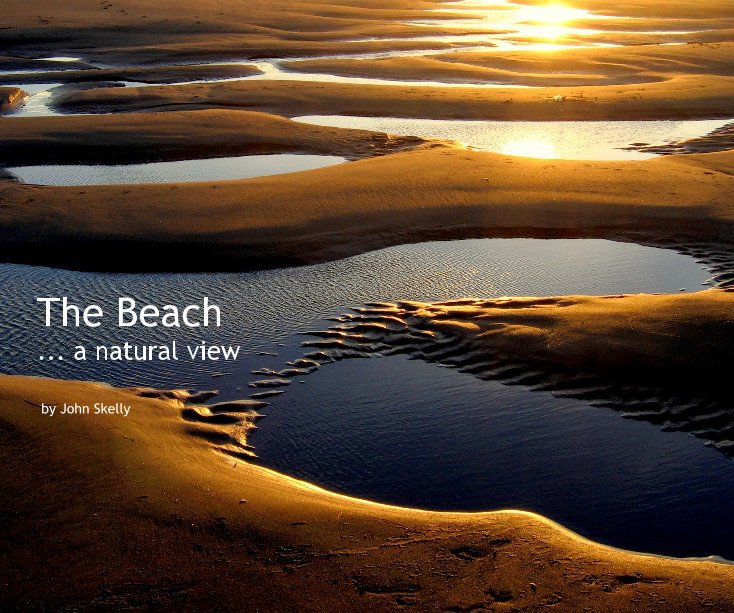 View The Beach by John Skelly