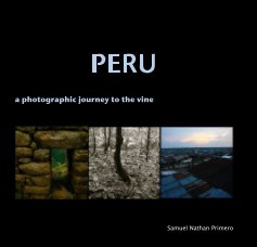 PERU book cover