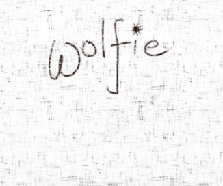 Wolfie book cover