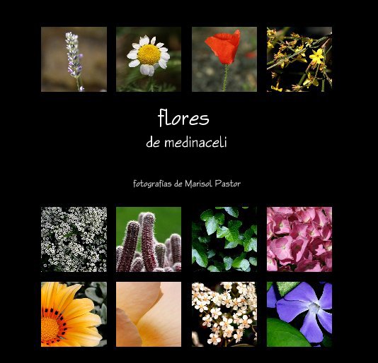 Ver flores de medinaceli por Marisol Pastor