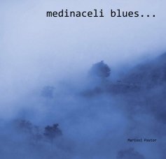medinaceli blues... book cover