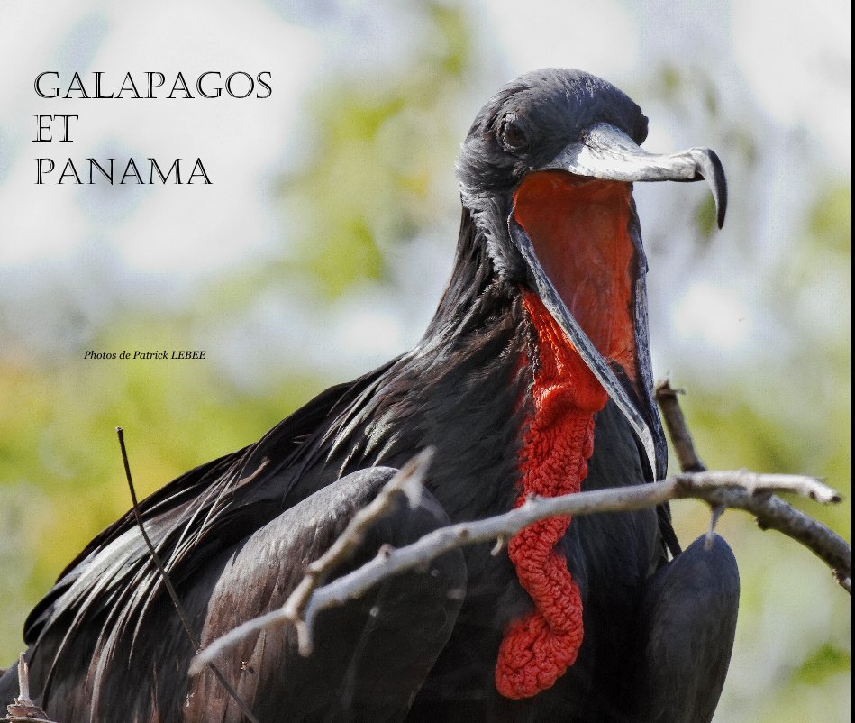Ver GALAPAGOS et PANAMA por Photos de Patrick LEBEE