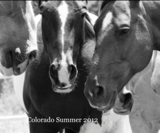 Colorado Summer 2012 book cover