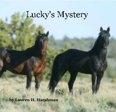 Lucky's Mystery book cover