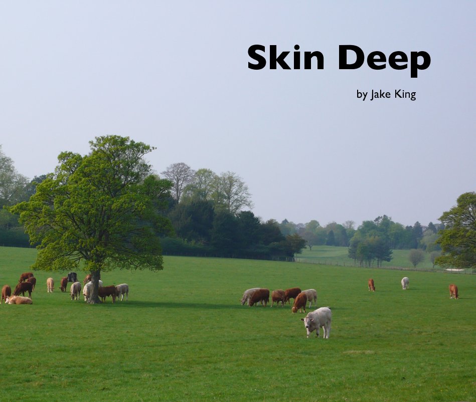 View Skin Deep by Jake King