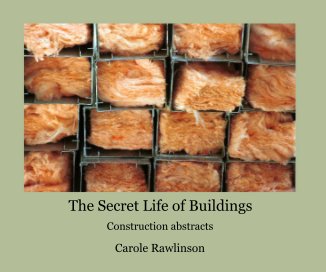 The Secret Life of Buildings book cover