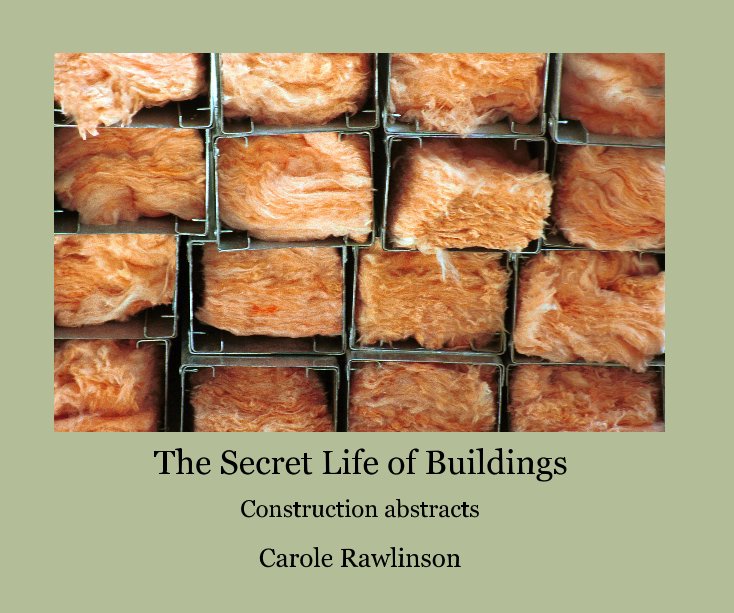 Ver The Secret Life of Buildings por Carole Rawlinson