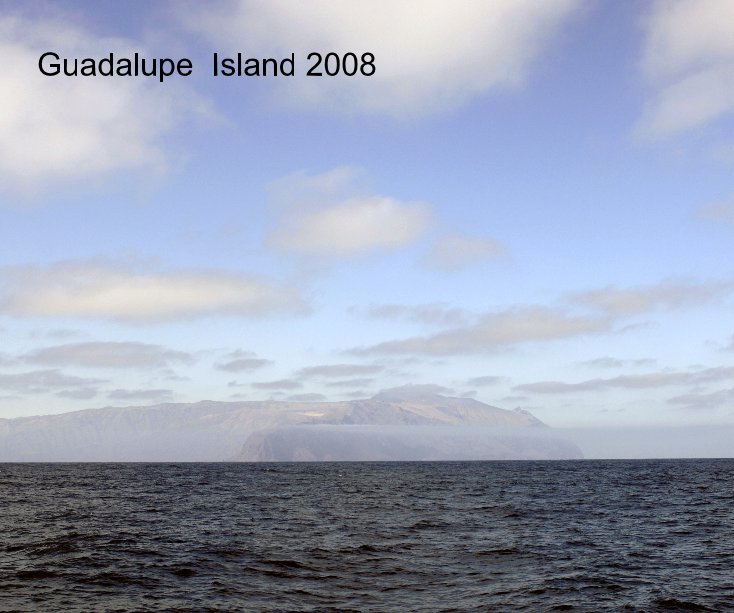 View Guadalupe Island 2008 by djs
