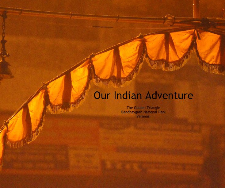 Ver Our Indian Adventure por klgondring