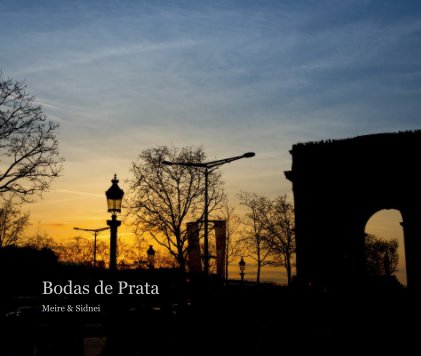 Bodas de Prata book cover