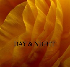 DAY & NIGHT book cover