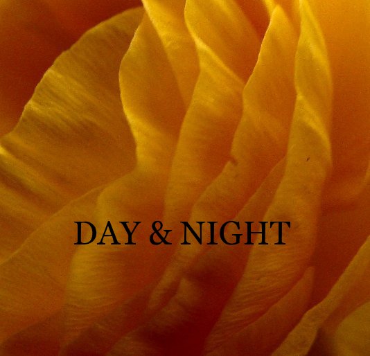 Visualizza DAY & NIGHT di Morgan Broom
