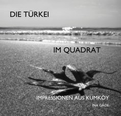 DIE TÜRKEI IM QUADRAT book cover