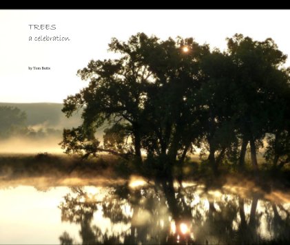 TREES a celebration book cover
